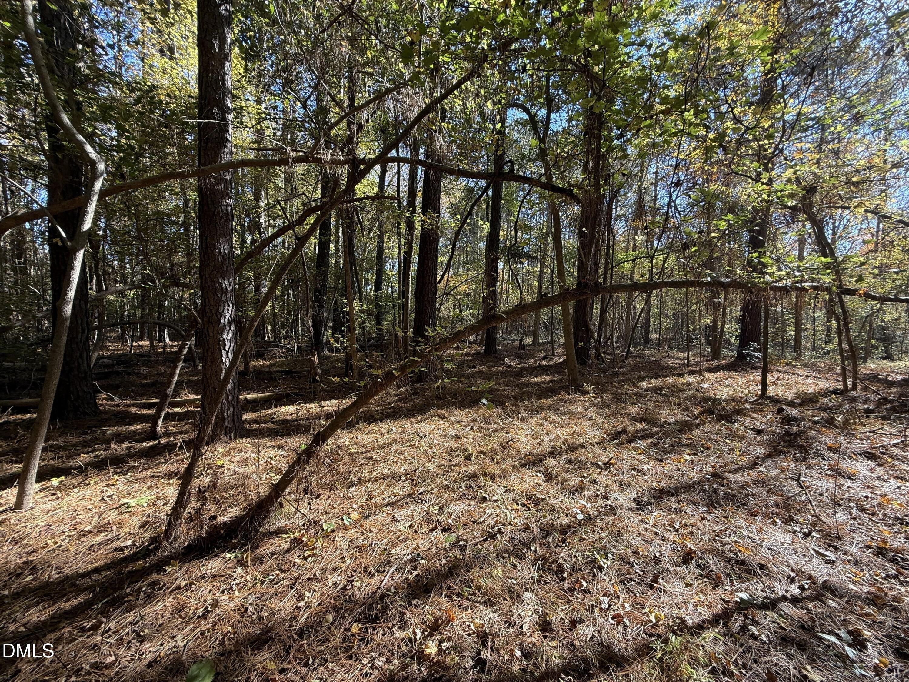 494 Bunn Elementary School Road Bunn, NC 27508 - Photo 15 of 20