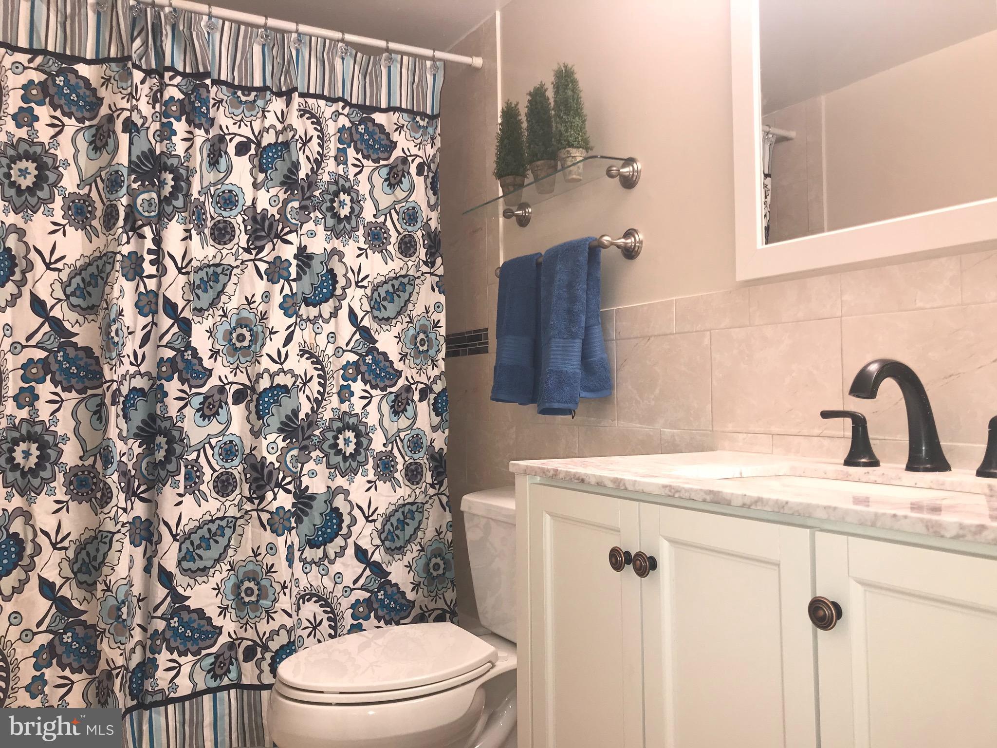 2113 Walsh View Terrace, Unit 302 Silver Spring, MD 20902 - Photo 11 of 23 Gorgeous updated bathroom.