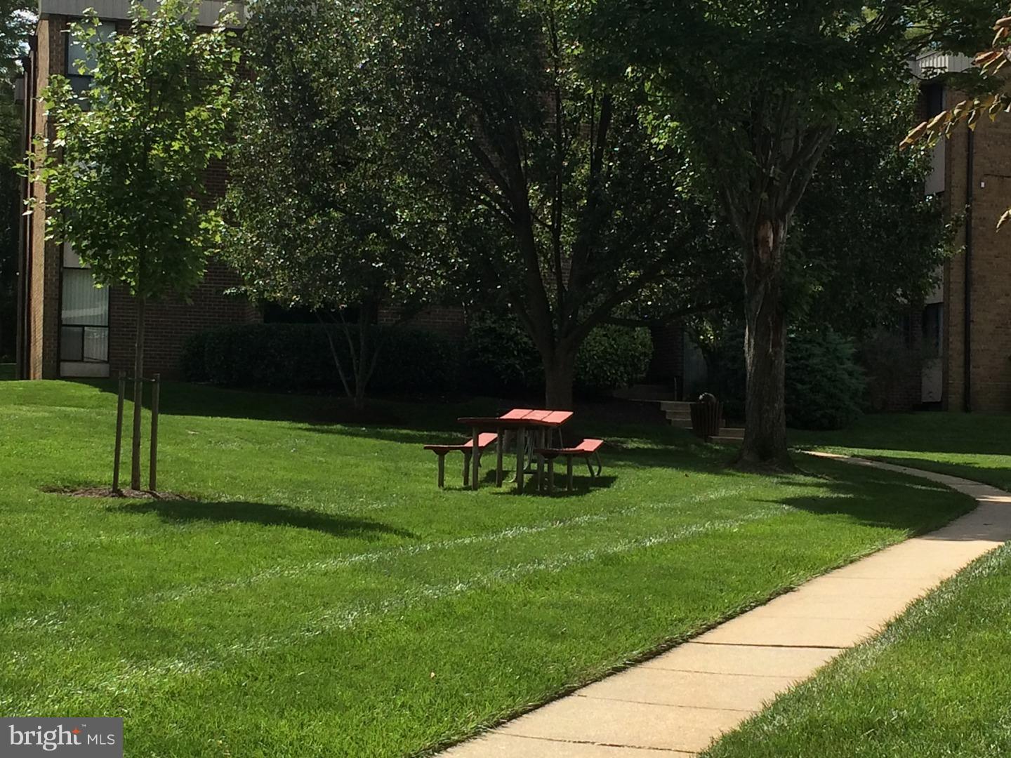 2113 Walsh View Terrace, Unit 302 Silver Spring, MD 20902 - Photo 22 of 23 Picnic tables dot the community.