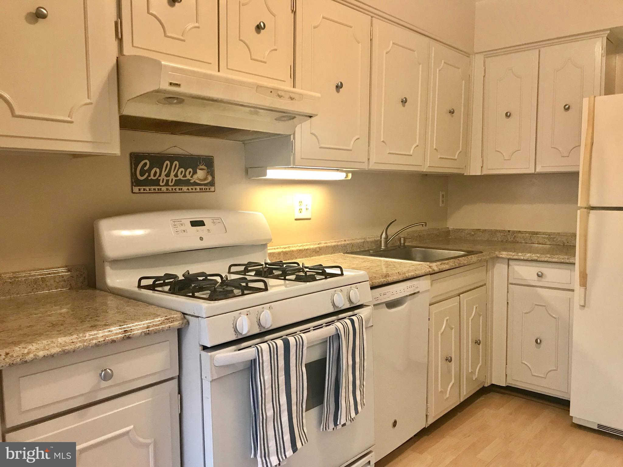 2113 Walsh View Terrace, Unit 302 Silver Spring, MD 20902 - Photo 7 of 23 Look at all the cabinet space!