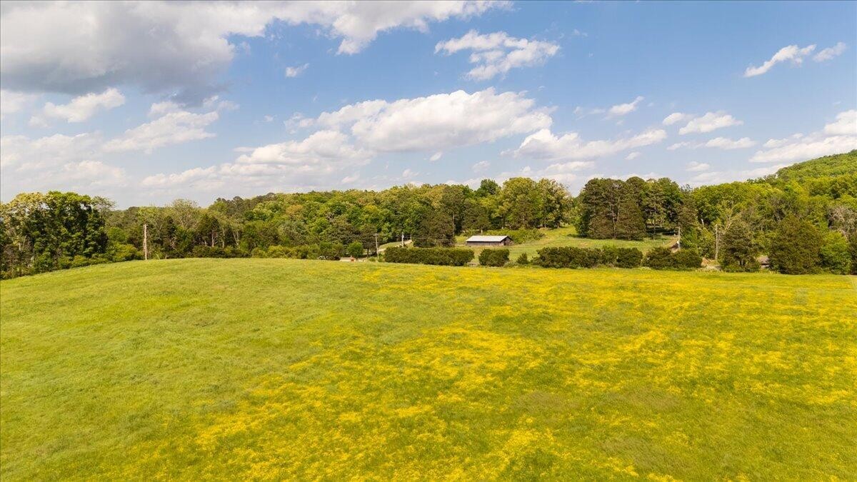 0 Long Hollow Road Ringgold, GA 30736 - Photo 11 of 13 Gallery Image 11