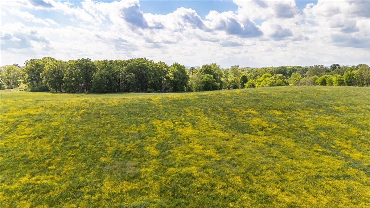 0 Long Hollow Road Ringgold, GA 30736 - Photo 4 of 13 Gallery Image 4