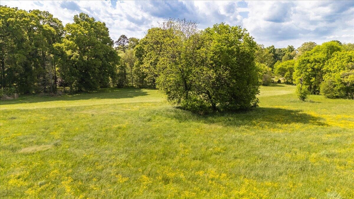 0 Long Hollow Road Ringgold, GA 30736 - Photo 7 of 13 Gallery Image 7