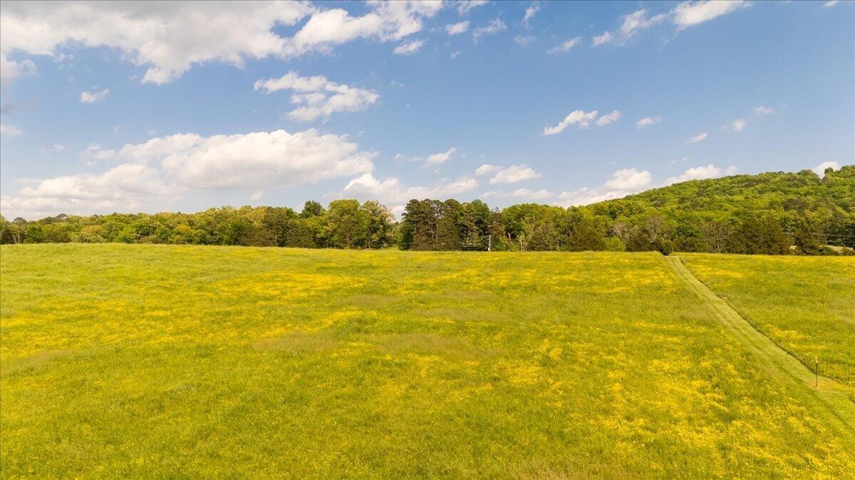 0 Long Hollow Road Ringgold, GA 30736 - Photo 10 of 13 Gallery Image 10