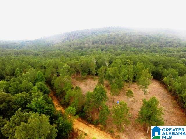 22-acres Clairmont Springs Road, Unit 22 ACRES Lineville, AL 36266 - Photo 6 of 16