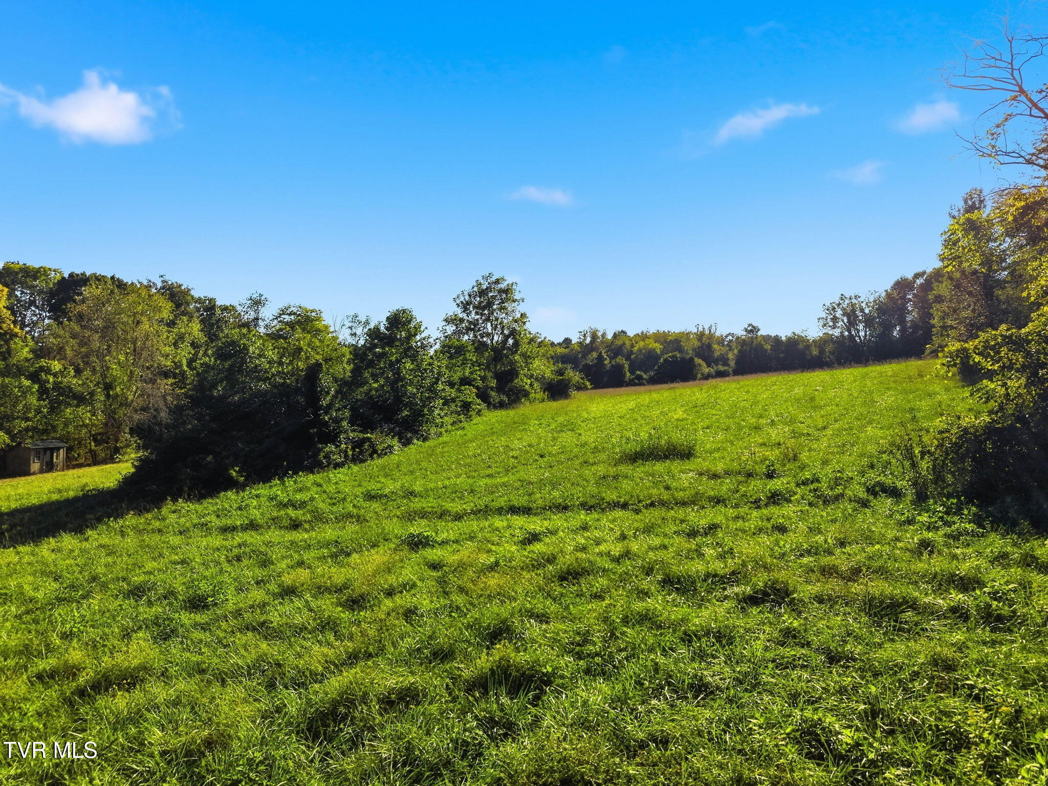 200 Trammel Road Bristol, TN 37620 - Photo 120 of 151 120-web-or-mls-200 Trammel Rd-102