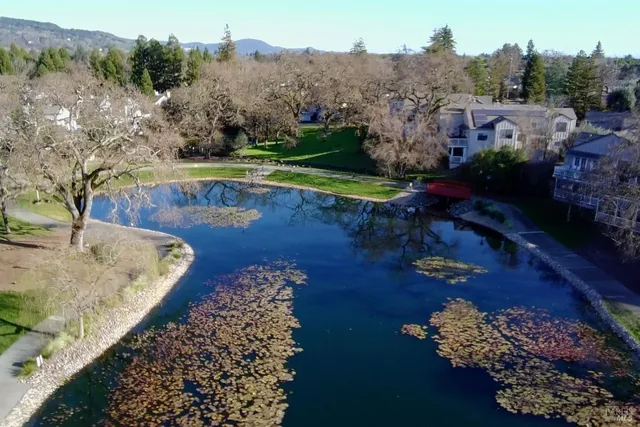 a view of a lake with a yard and mountain view