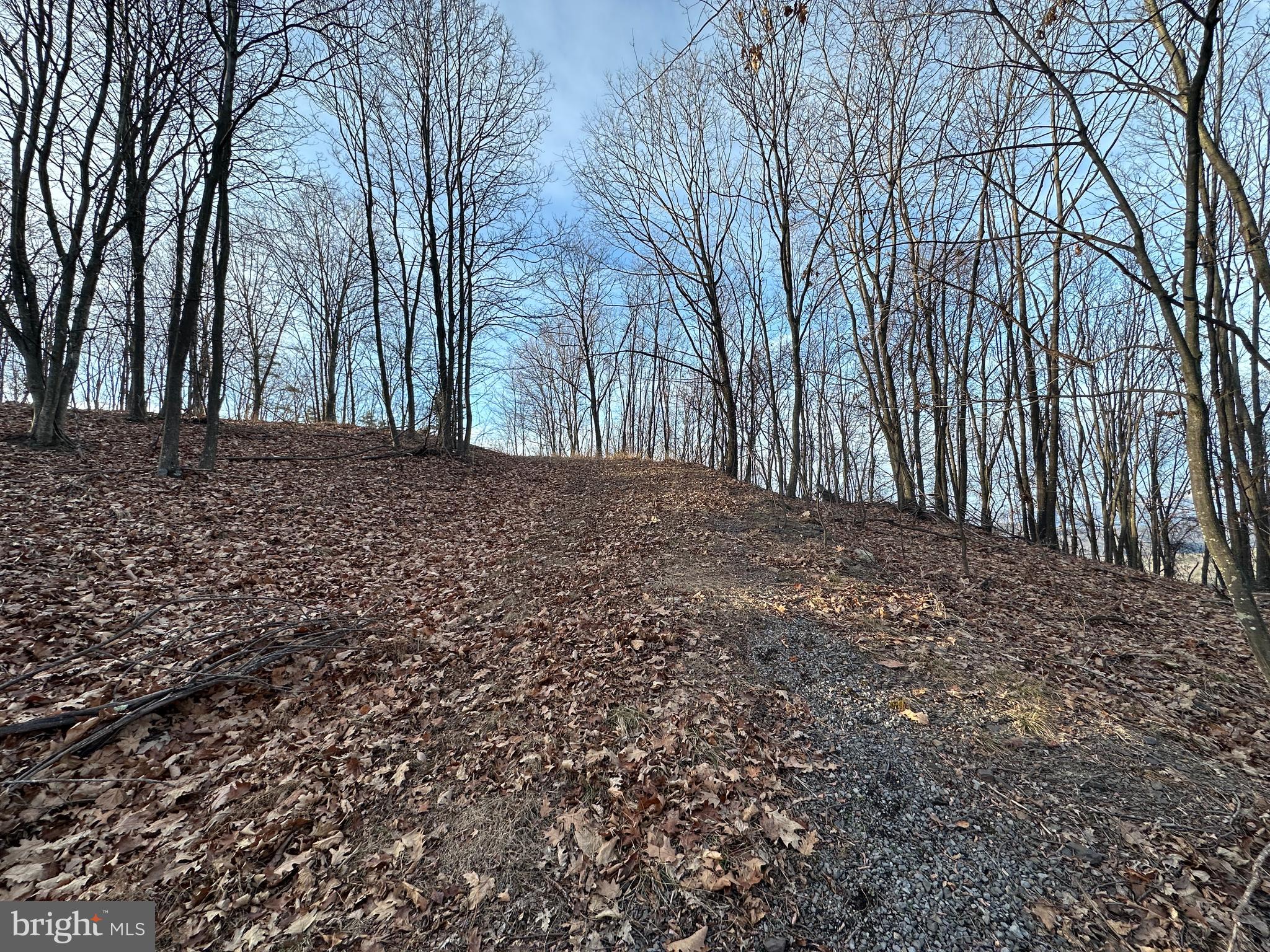 333 Nathaniel Mountain Road Moorefield, WV 26836 - Photo 27 of 65