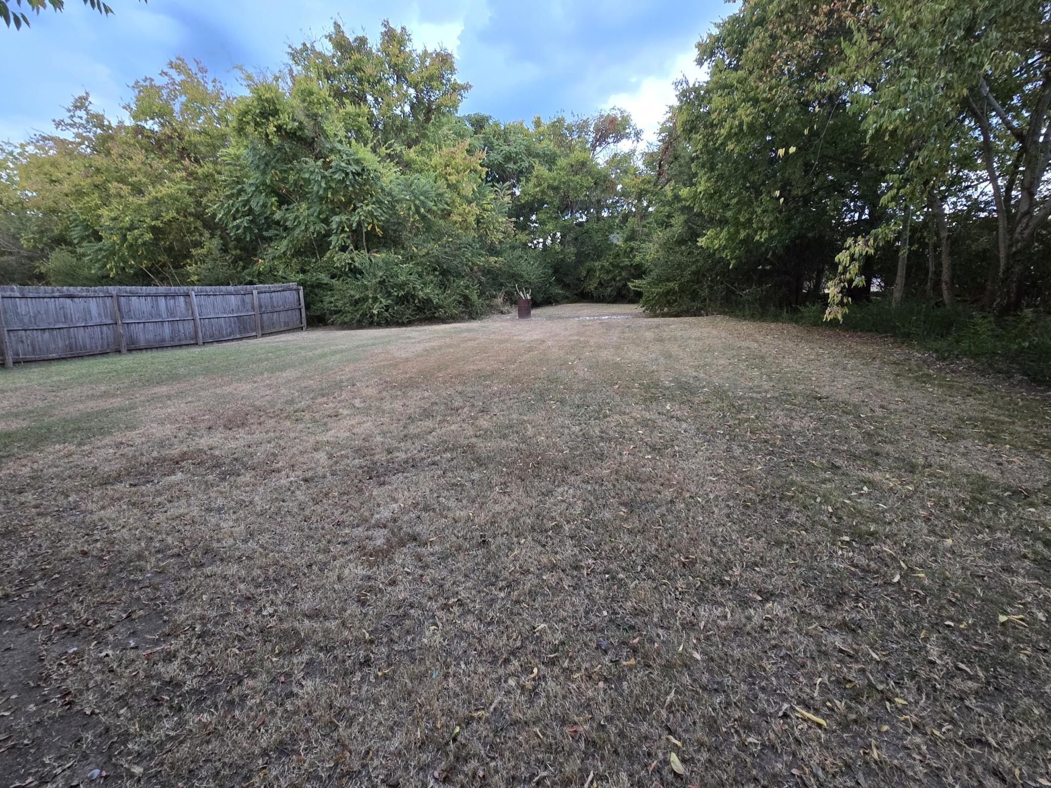 207 Cedar Street Lebanon, TN 37087 - Photo 4 of 4 a view of a yard with a tree