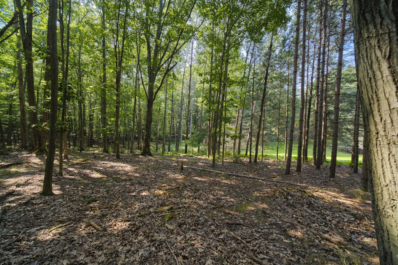 2521 Crescent Beach Road Manistee, MI 49660 - Photo 56 of 72