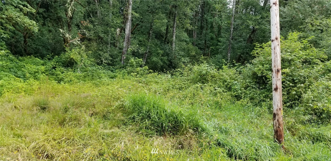 0 Ferrier Road Winlock, WA 98596 - Photo 3 of 7