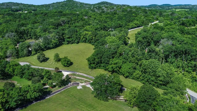 a view of a lush green hillside and a houses