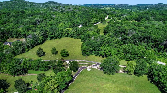 an aerial view of a residential houses with a lush green hillside