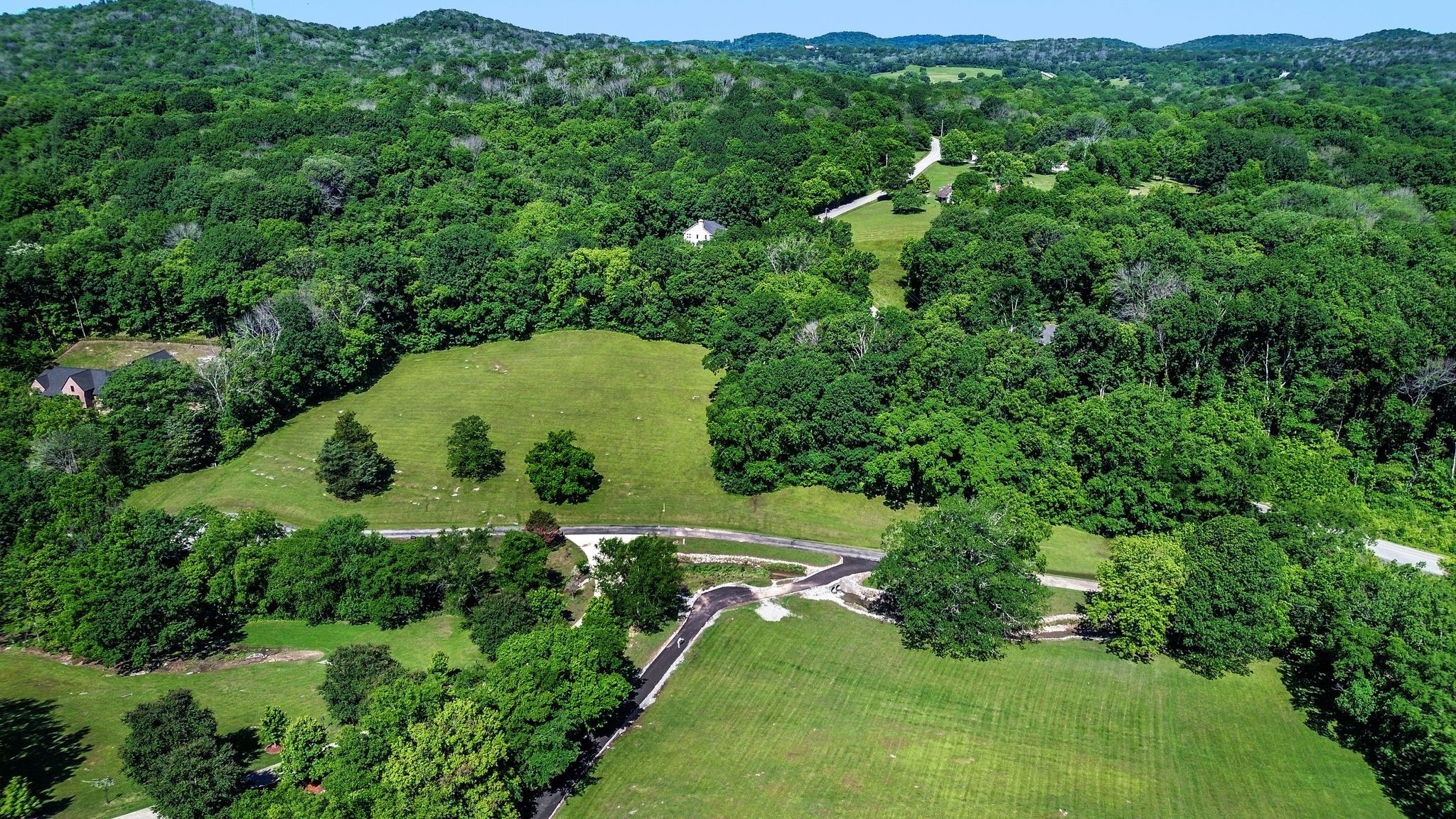 110 Hidden Valley Road Arrington, TN 37014 - Photo 12 of 19 a view of a lush green hillside and a houses