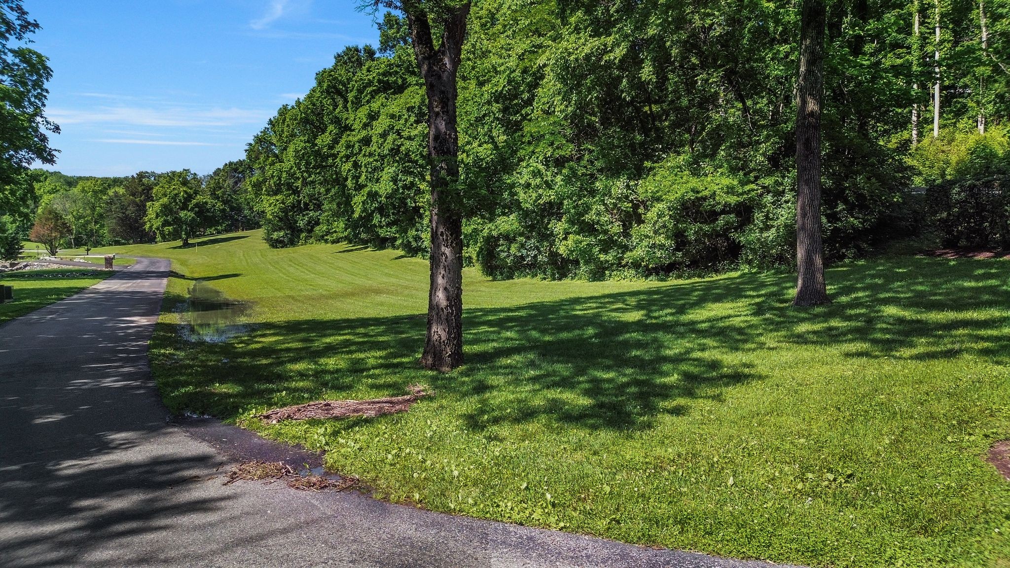110 Hidden Valley Road Arrington, TN 37014 - Photo 5 of 19 a view of a park with a tree