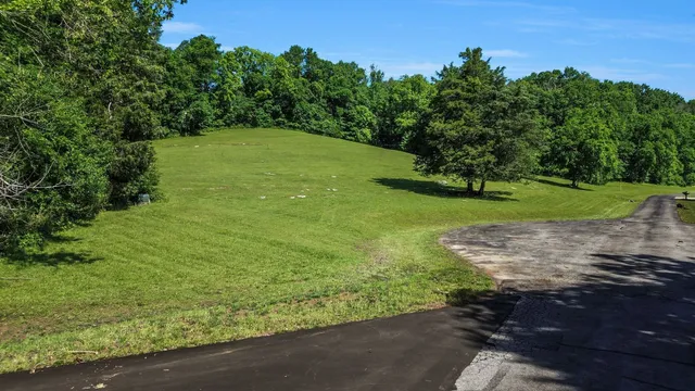 a view of a field with trees in the background