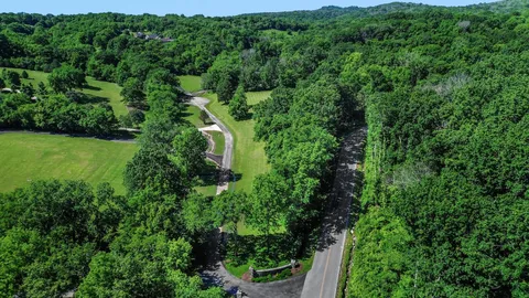 a view of a lush green forest with lots of trees