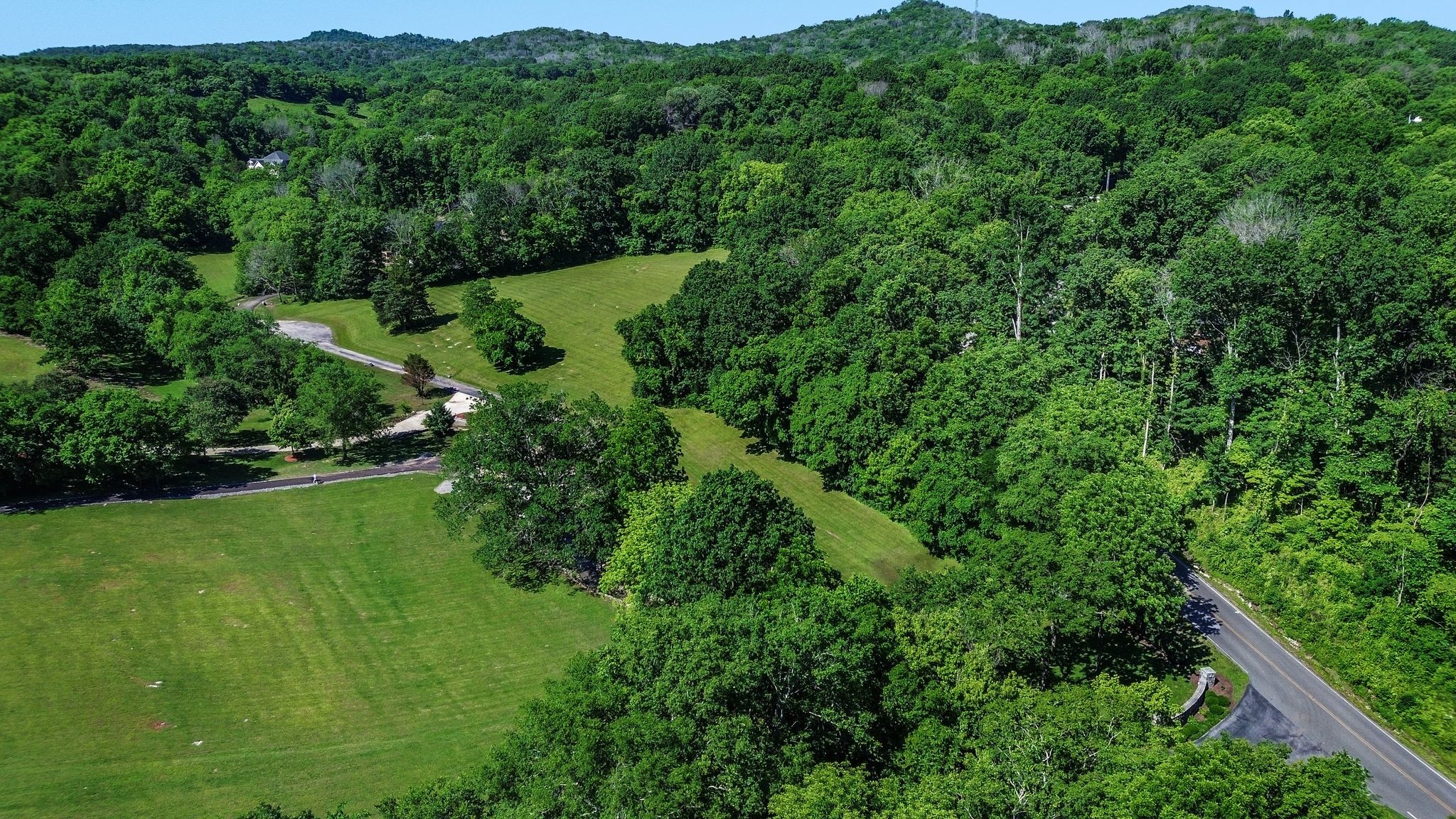 110 Hidden Valley Road Arrington, TN 37014 - Photo 10 of 19 a view of a lush green forest with lots of trees
