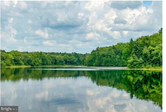 442 Shaws Mill Road Newport, NJ 08345 - Photo 36 of 37