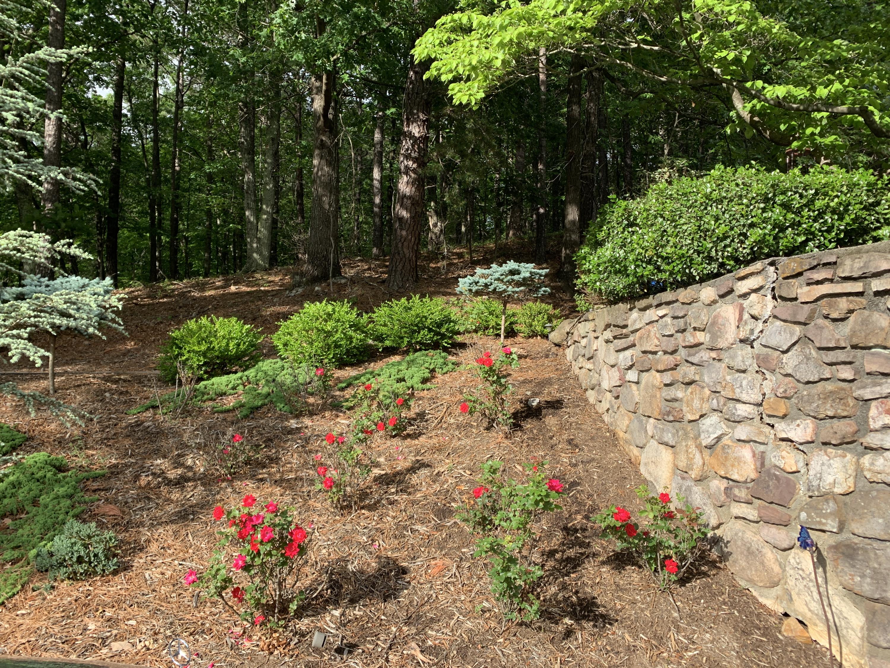5061 Fox Ridge Road Southwest Roanoke, VA 24018 - Photo 51 of 55 IMG_8147