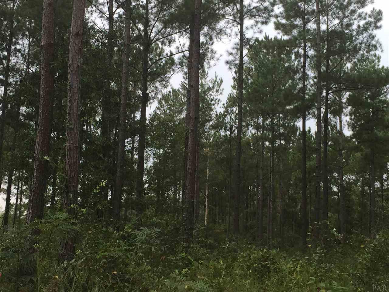4-acres Kolb Road Milton, FL 32570 - Photo 1 of 11