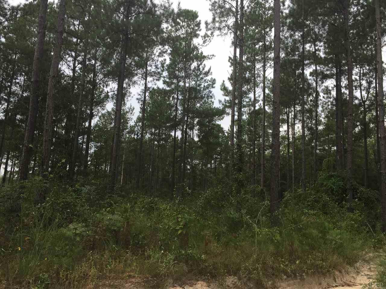4-acres Kolb Road Milton, FL 32570 - Photo 11 of 11