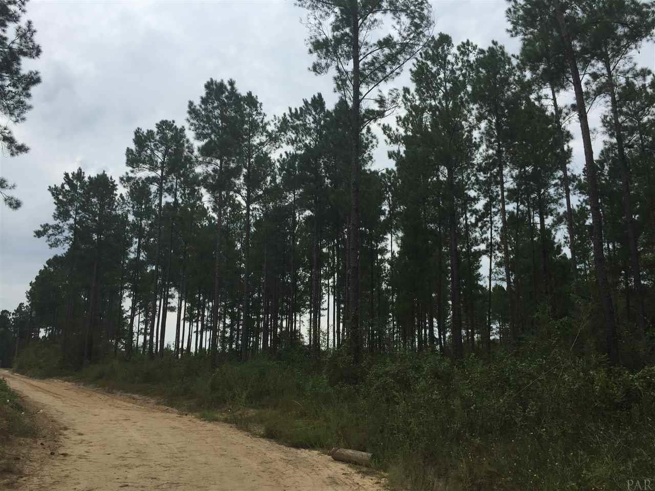 4-acres Kolb Road Milton, FL 32570 - Photo 3 of 11