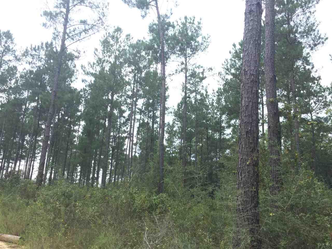 4-acres Kolb Road Milton, FL 32570 - Photo 4 of 11