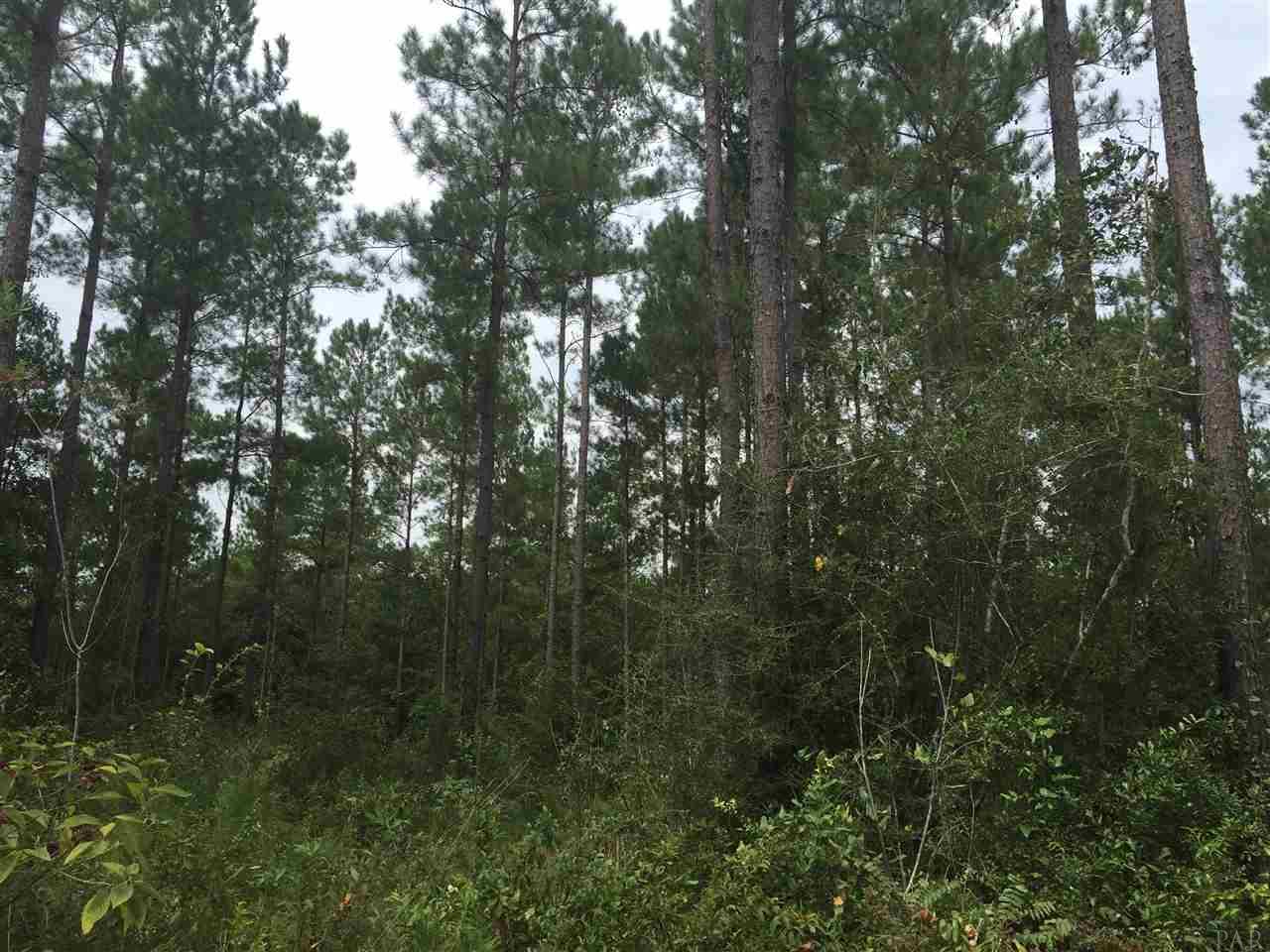 4-acres Kolb Road Milton, FL 32570 - Photo 7 of 11
