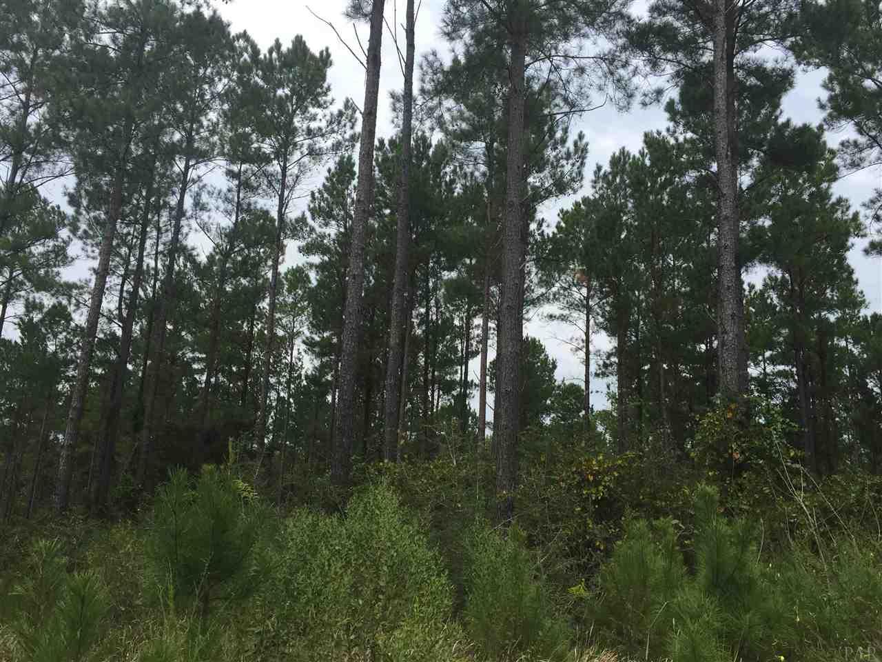 4-acres Kolb Road Milton, FL 32570 - Photo 8 of 11