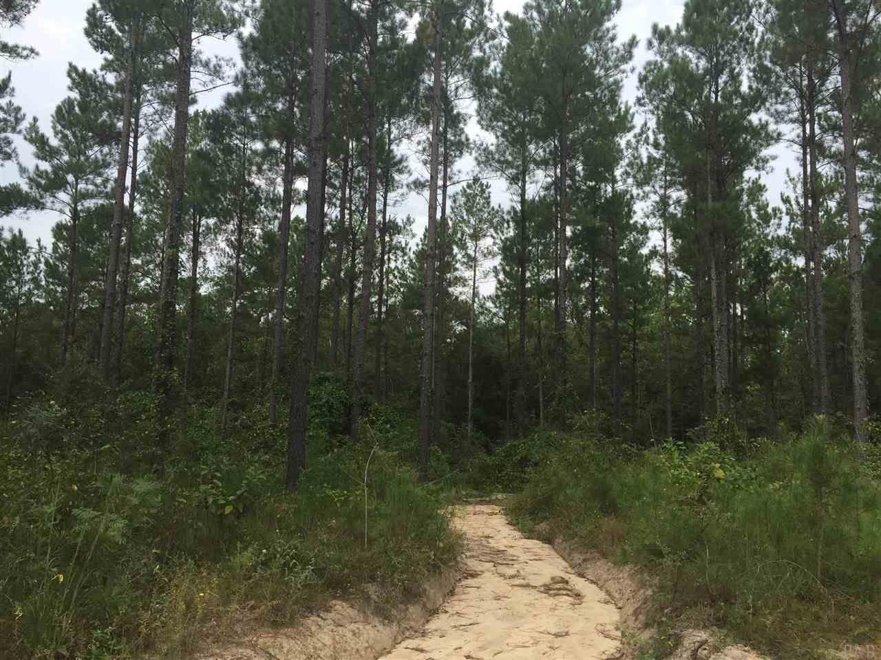 4-acres Kolb Road Milton, FL 32570 - Photo 9 of 11