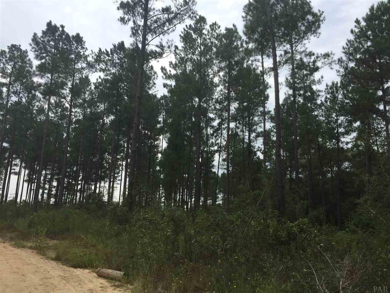 4-acres Kolb Road Milton, FL 32570 - Photo 10 of 11