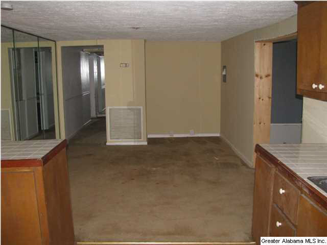 61 Ole Creek Road Pittsview, AL 36871 - Photo 4 of 12