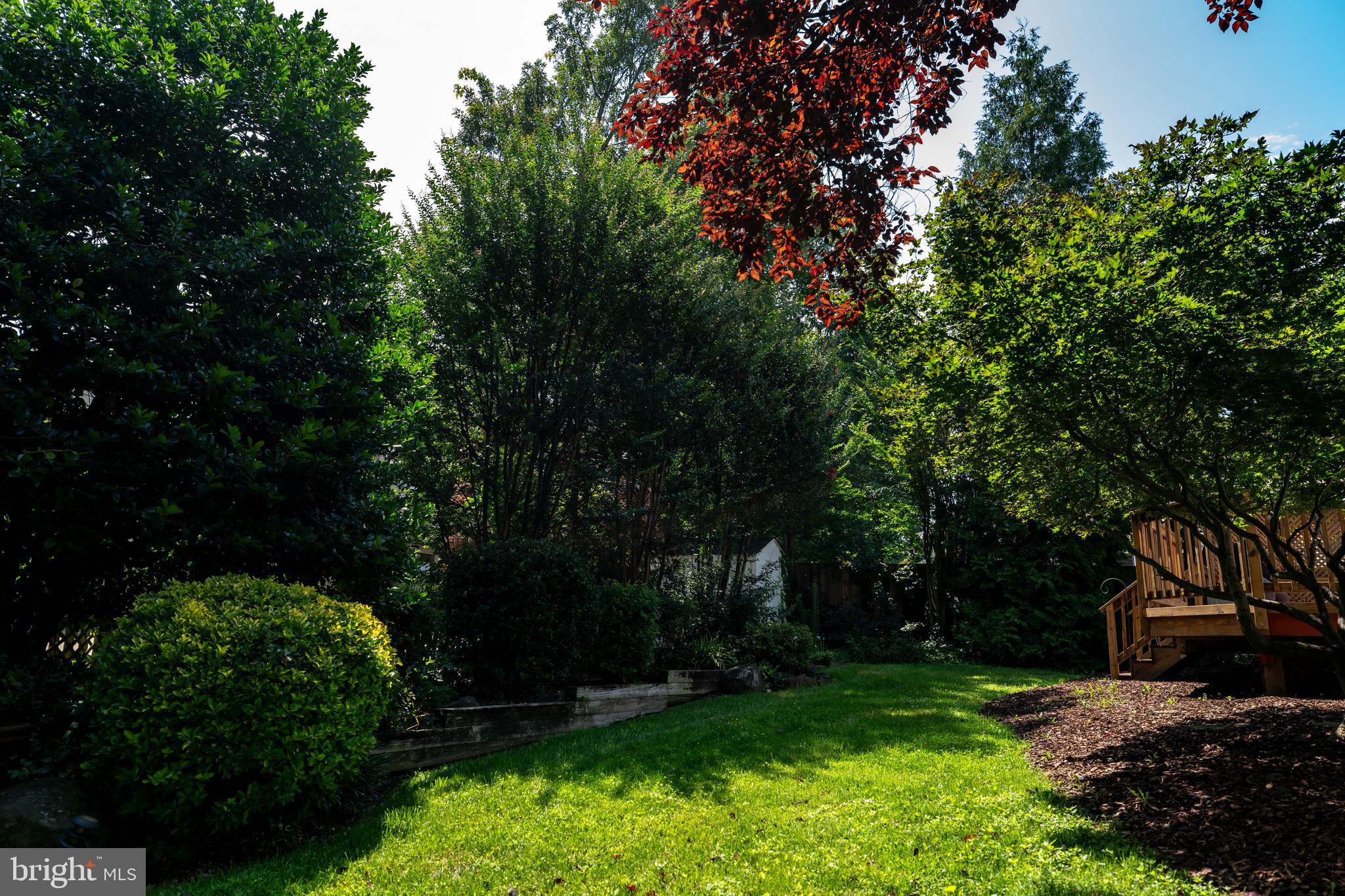 13824 Springstone Drive Clifton, VA 20124 - Photo 44 of 56 a view of a backyard