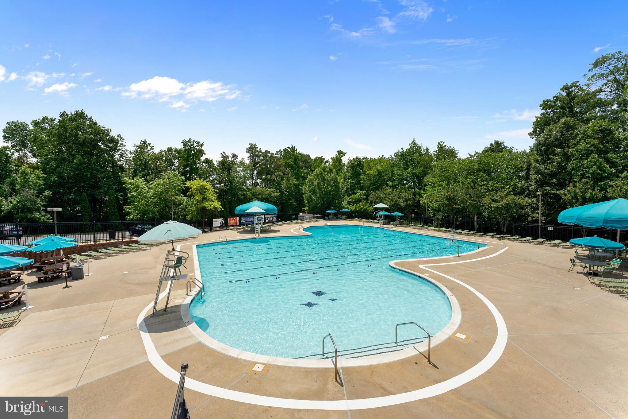 13824 Springstone Drive Clifton, VA 20124 - Photo 53 of 56 a view of a swimming pool with a patio