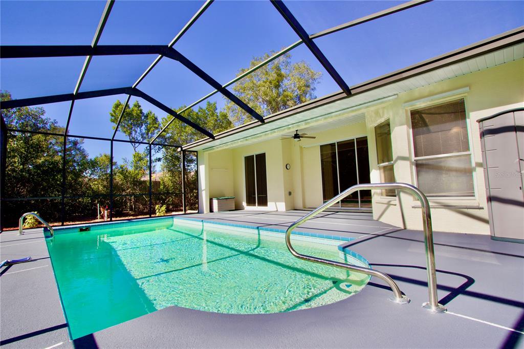 8056 Floral Drive Spring Hill, FL 34607 - Photo 26 of 29 a view of a swimming pool with a backyard