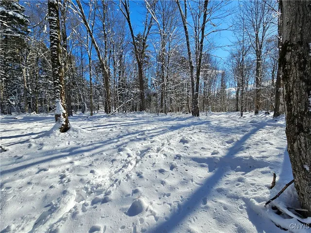 $30,000 | Long Pond Road, Croghan, NY 13327