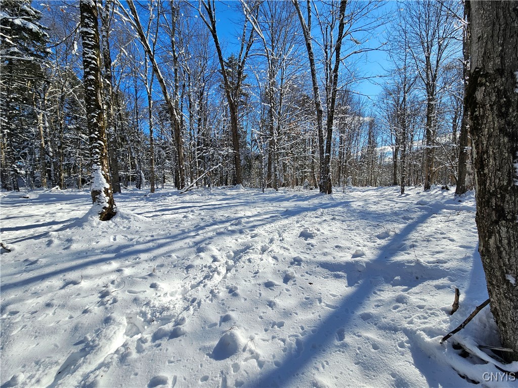 Long Pond Road Croghan, NY 13327 - Photo 11 of 18