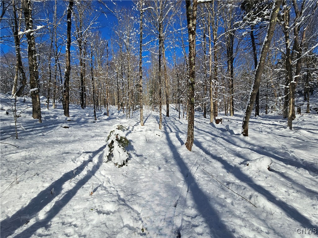 Long Pond Road Croghan, NY 13327 - Photo 14 of 18