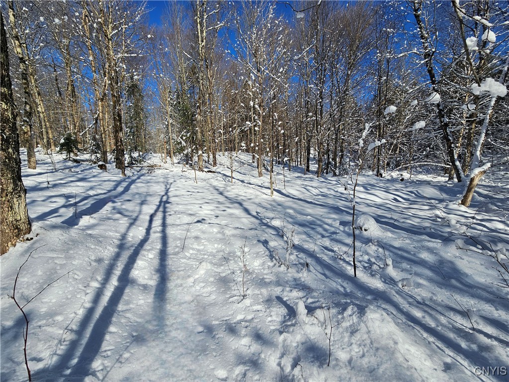 Long Pond Road Croghan, NY 13327 - Photo 15 of 18