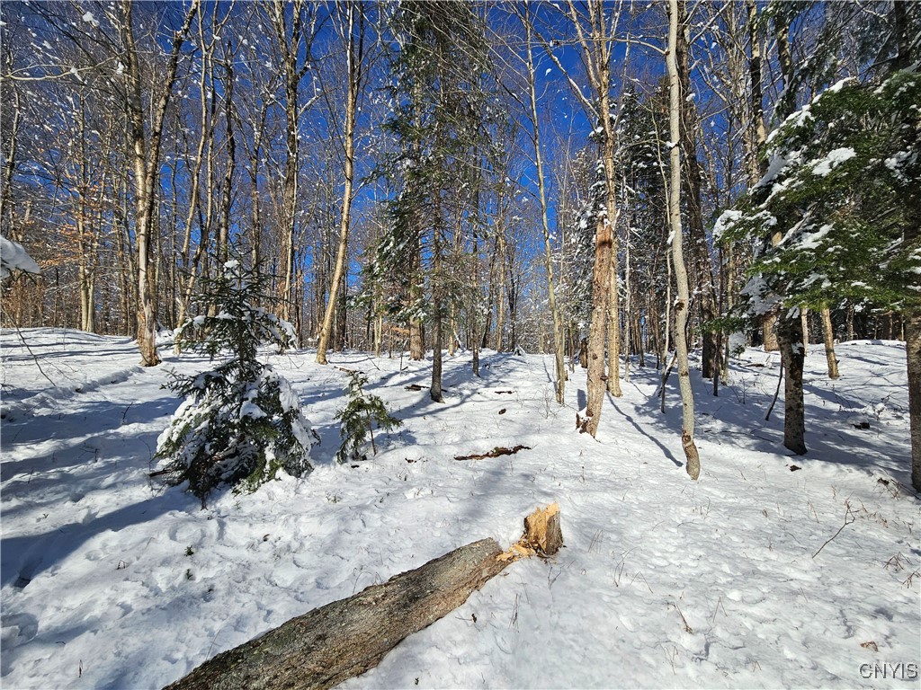Long Pond Road Croghan, NY 13327 - Photo 16 of 18