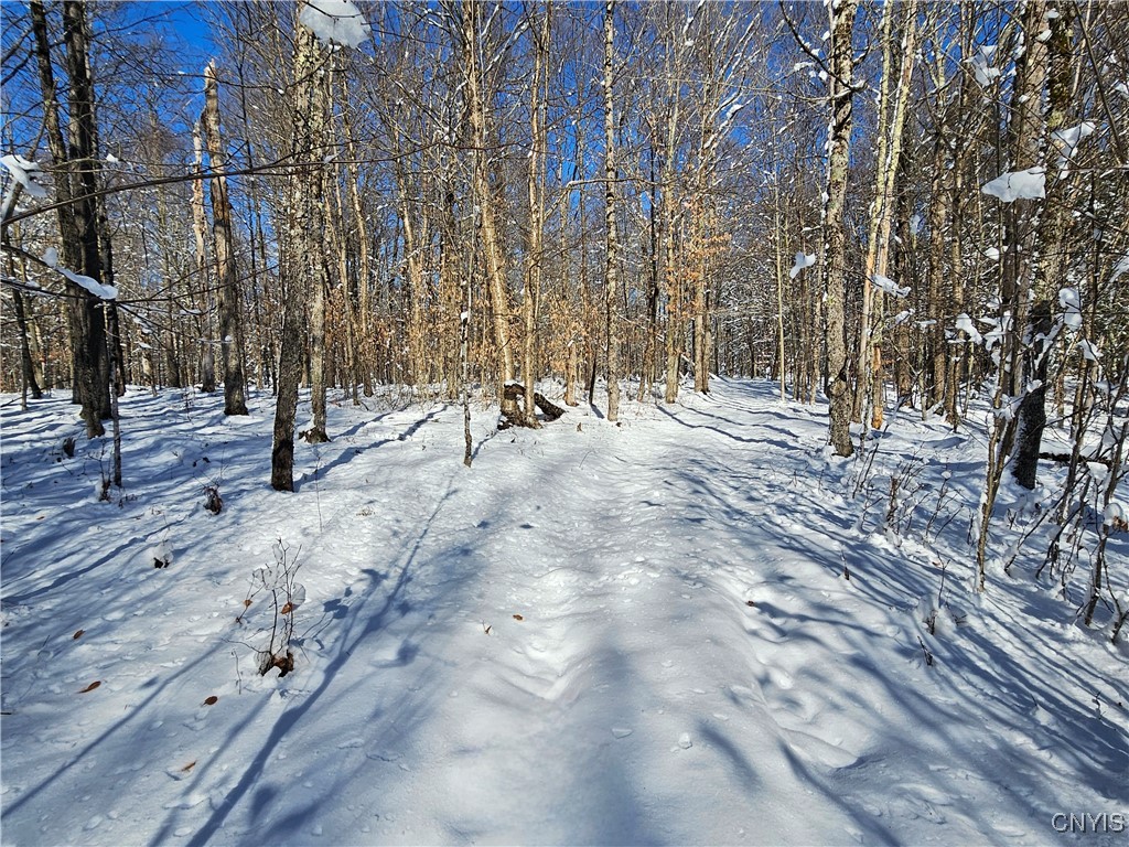 Long Pond Road Croghan, NY 13327 - Photo 17 of 18