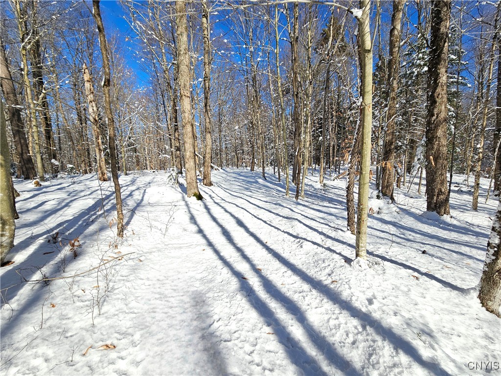 Long Pond Road Croghan, NY 13327 - Photo 18 of 18