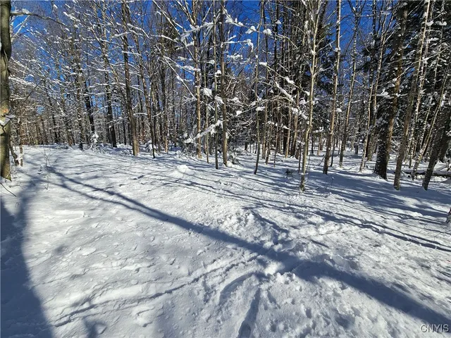 $30,000 | Long Pond Road, Croghan, NY 13327