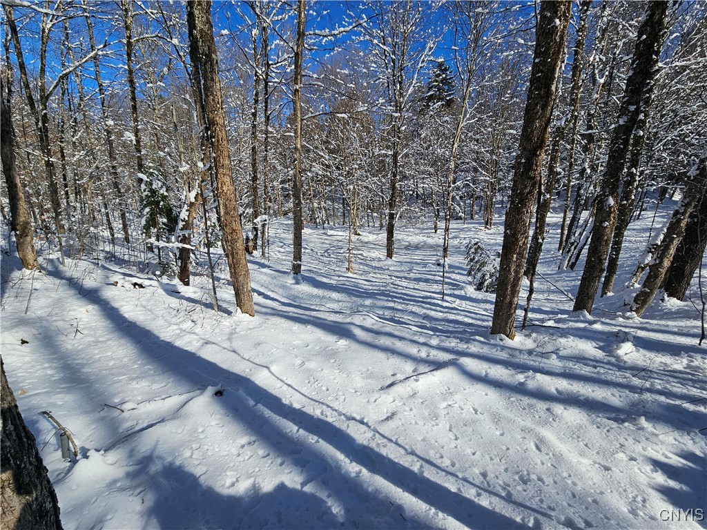 Long Pond Road Croghan, NY 13327 - Photo 3 of 18