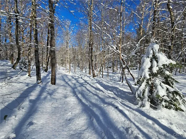 $30,000 | Long Pond Road, Croghan, NY 13327