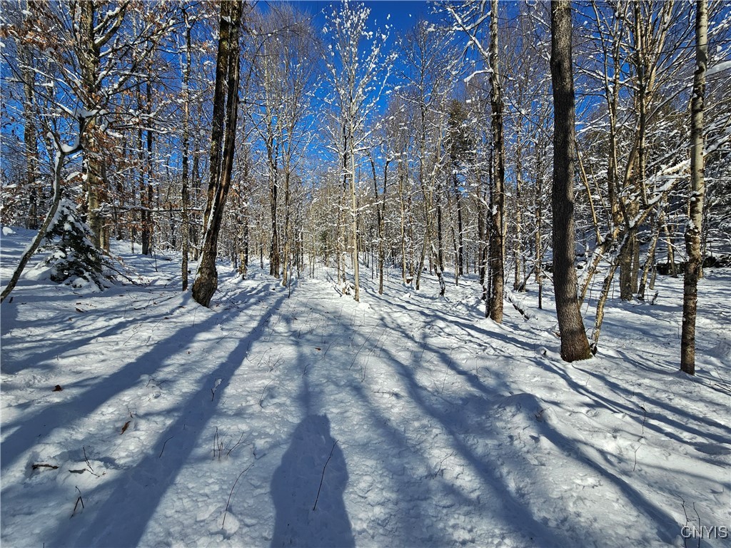 Long Pond Road Croghan, NY 13327 - Photo 5 of 18