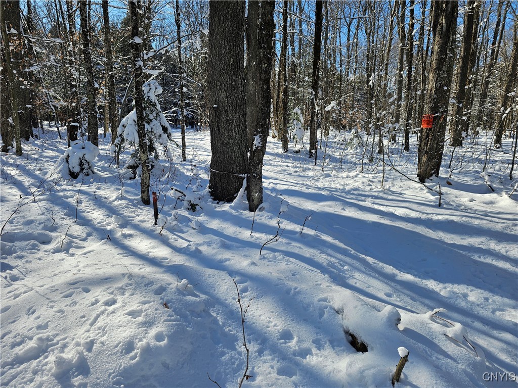 Long Pond Road Croghan, NY 13327 - Photo 6 of 18