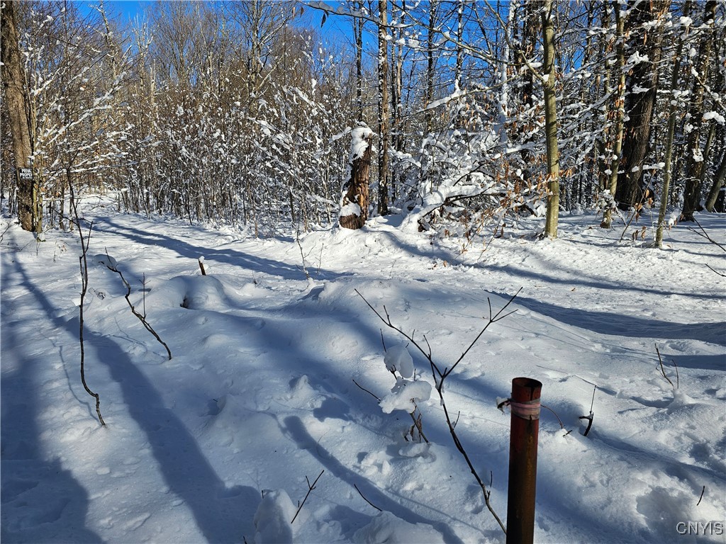 Long Pond Road Croghan, NY 13327 - Photo 7 of 18