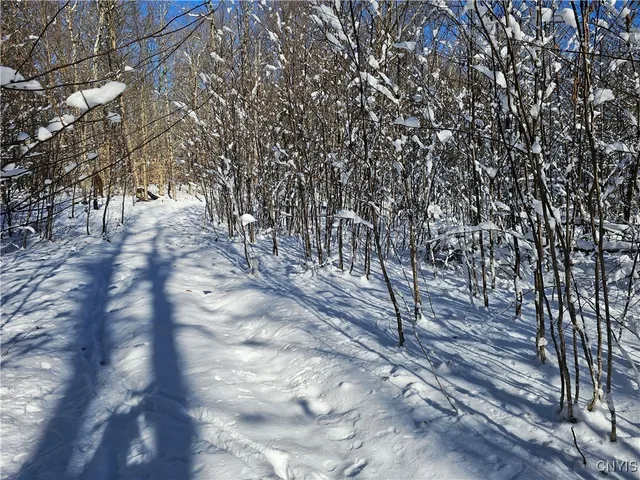 $30,000 | Long Pond Road, Croghan, NY 13327